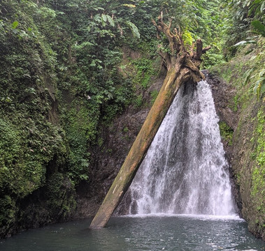 Henry Safari Tours-St. George's必去景点