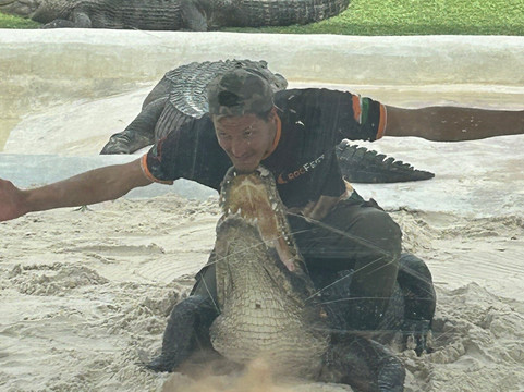 Banana Joe Tours-迈阿密必去景点