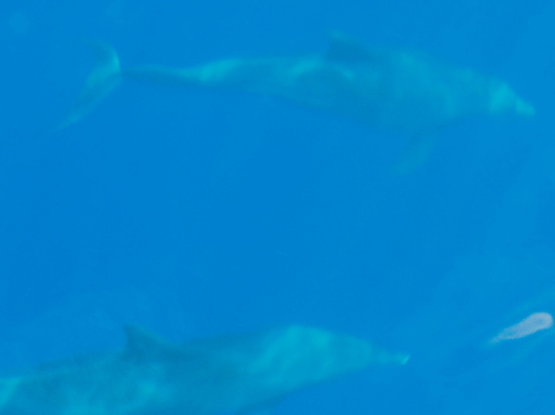 Merveille En Mer-Etang Sale Les Bains必去景点