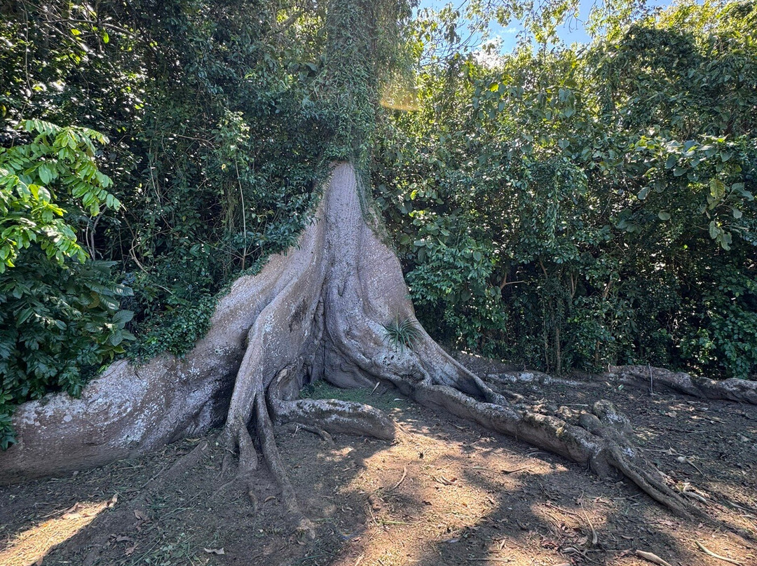 De Tour Con Ali-圣胡安必去景点