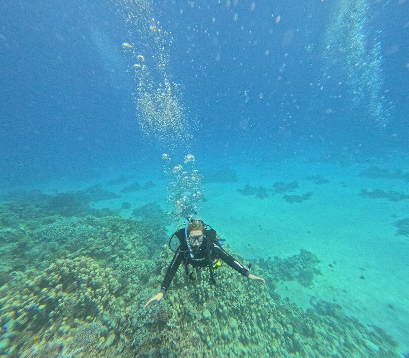 Aquarius Diving Club-马卡迪湾必去景点