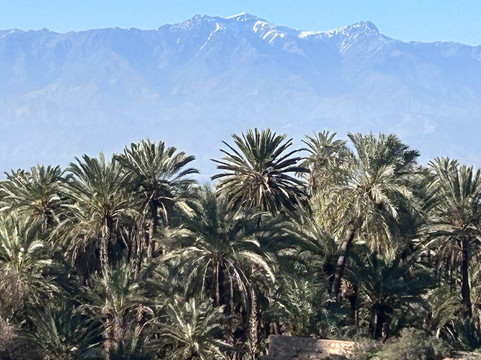 Oasis de Tiout主图