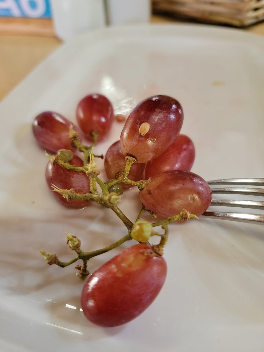 马他布凯海滩度假村-餐饮