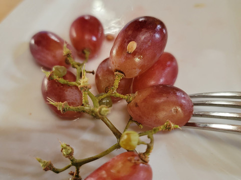 马他布凯海滩度假村主图