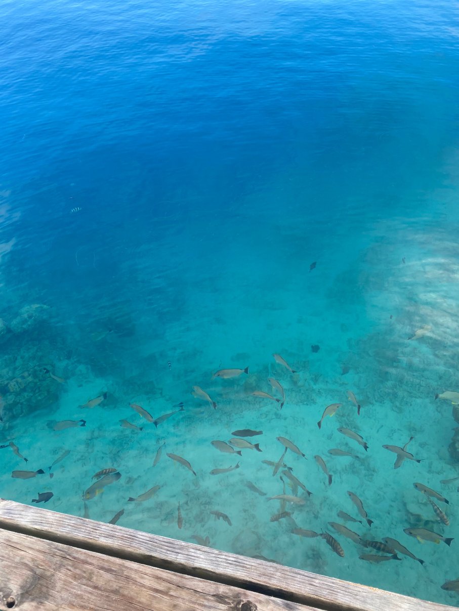 Sunset Beach Motel-官方