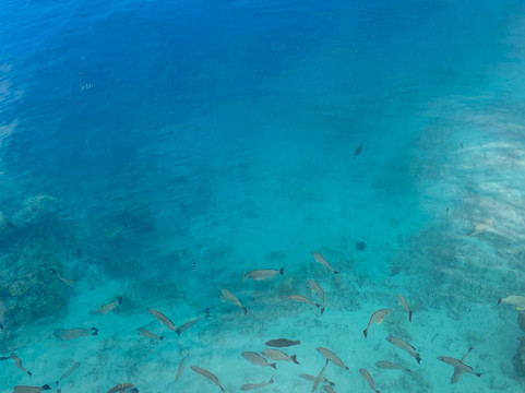 Sunset Beach Motel主图