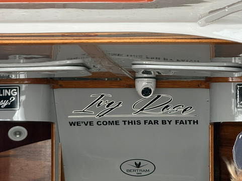 Ocean Dreams Water Taxi-Red Hook必去景点