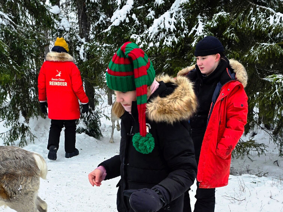 圣诞老人驯鹿雪橇之旅-罗瓦涅米必去景点