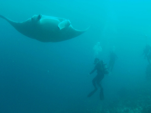 Himmafushi Scuba Adventure-Himmafushi Island必去景点