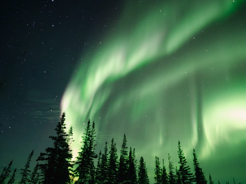 Discover Churchill Tours-丘吉尔必去景点