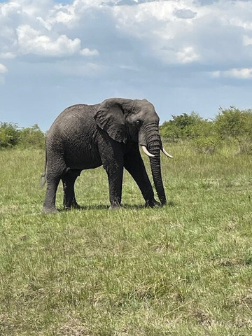Pinnacle Alpine Tours and Treks-Naro Moru必去景点