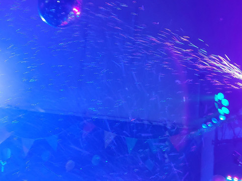 Cheeky Monkeys Worcester Play Centre-伍斯特必去景点