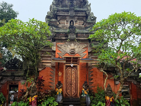 Lovina Transport Bali 007-罗威那海滩必去景点