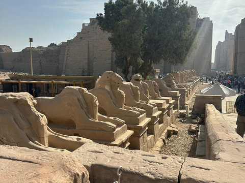 Karnak Open Air Museum-卢克索必去景点