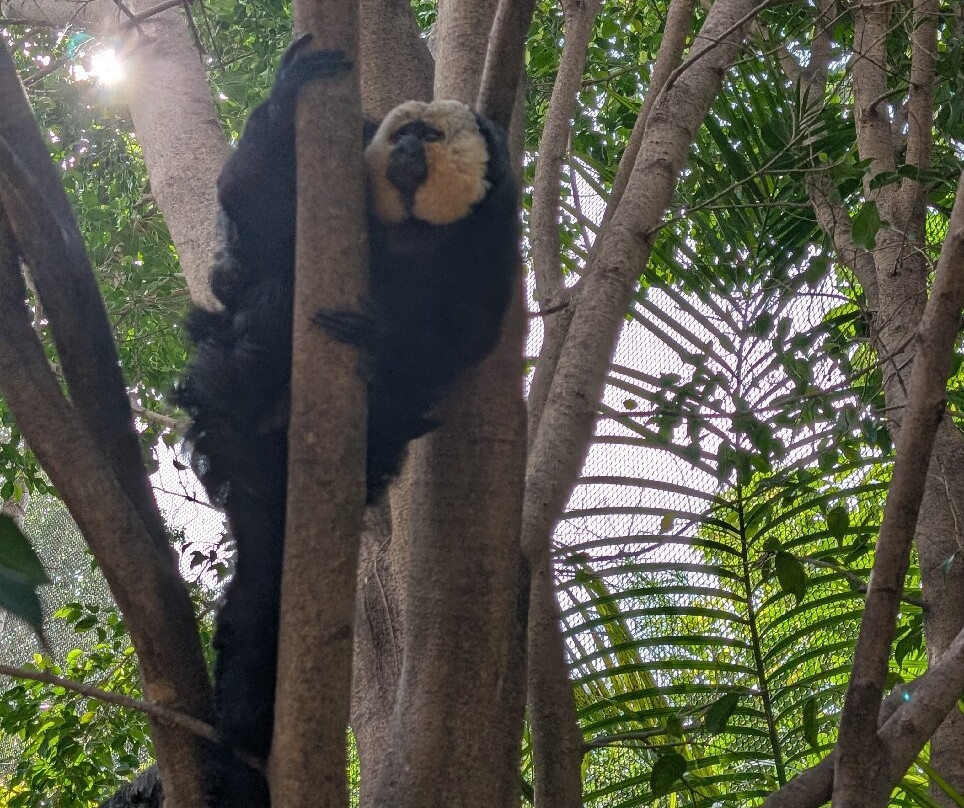 Selwo Marina-班纳玛德纳必去景点