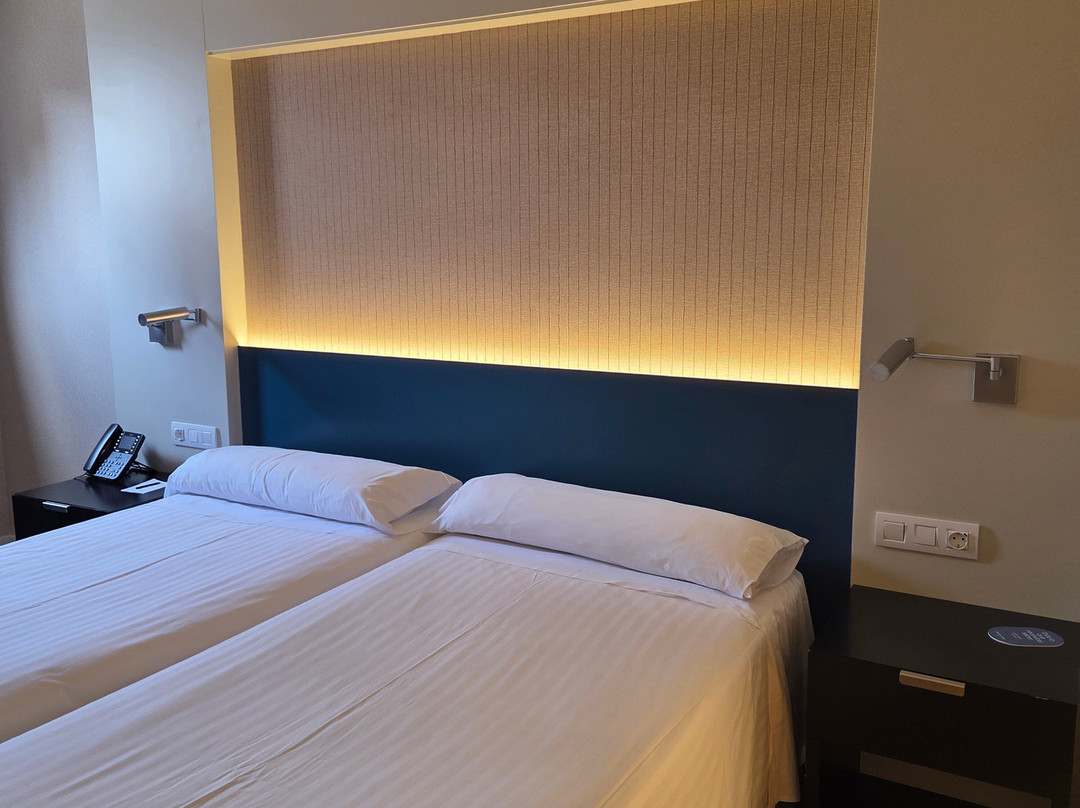 卡斯特利翁因图尔酒店主图