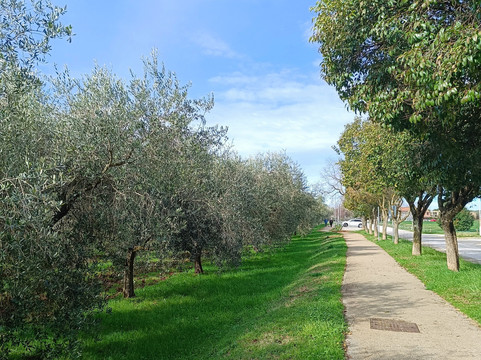 Aquapark Istralandia-诺维格拉德必去景点
