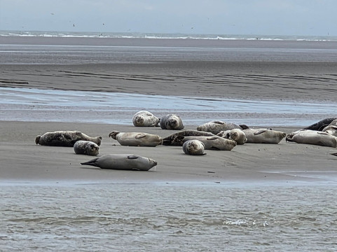 Club Nautique Berckois-Berck必去景点