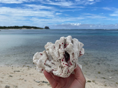 Ilot Gabriel Beach-Ilot Gabriel必去景点