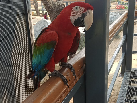 Trichy Birds Park-Tiruchirappalli District必去景点