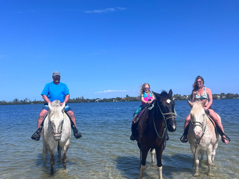 Florida Beach Horses-布雷登顿必去景点