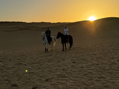 Cairo Horse Riding School-吉萨必去景点