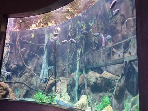 AquaFoz-伊瓜苏必去景点