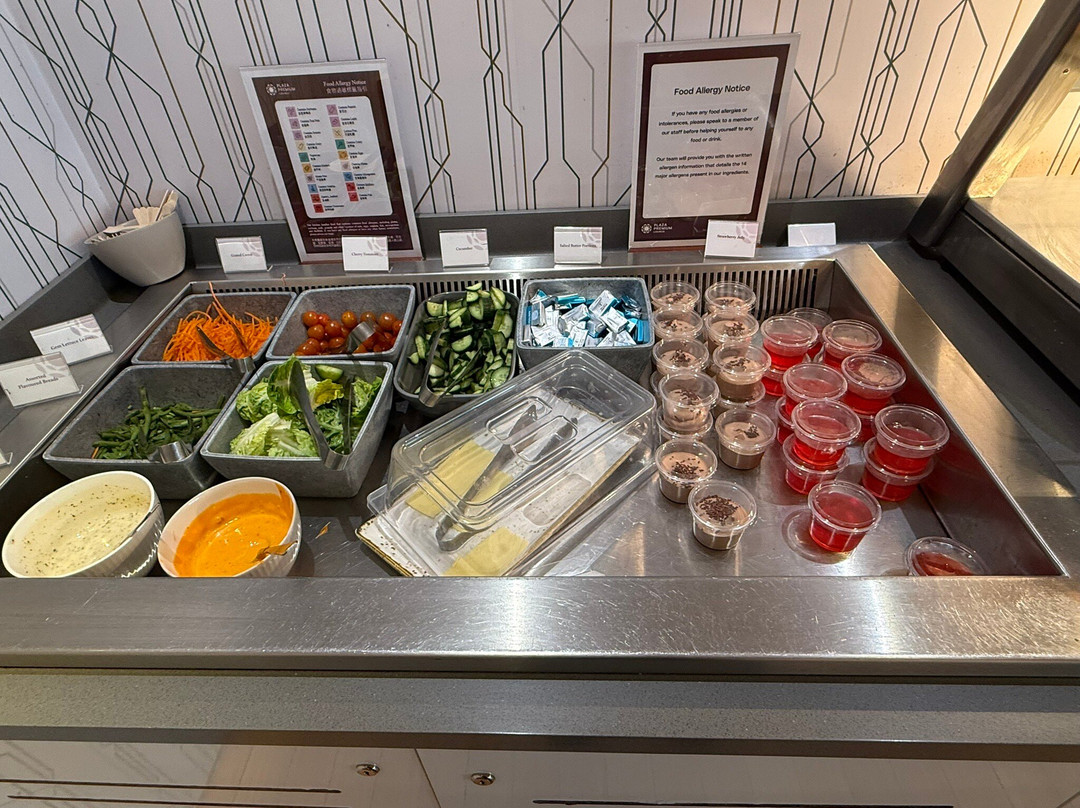 Plaza Premium Lounge Gatwick North Departures-霍利必去景点