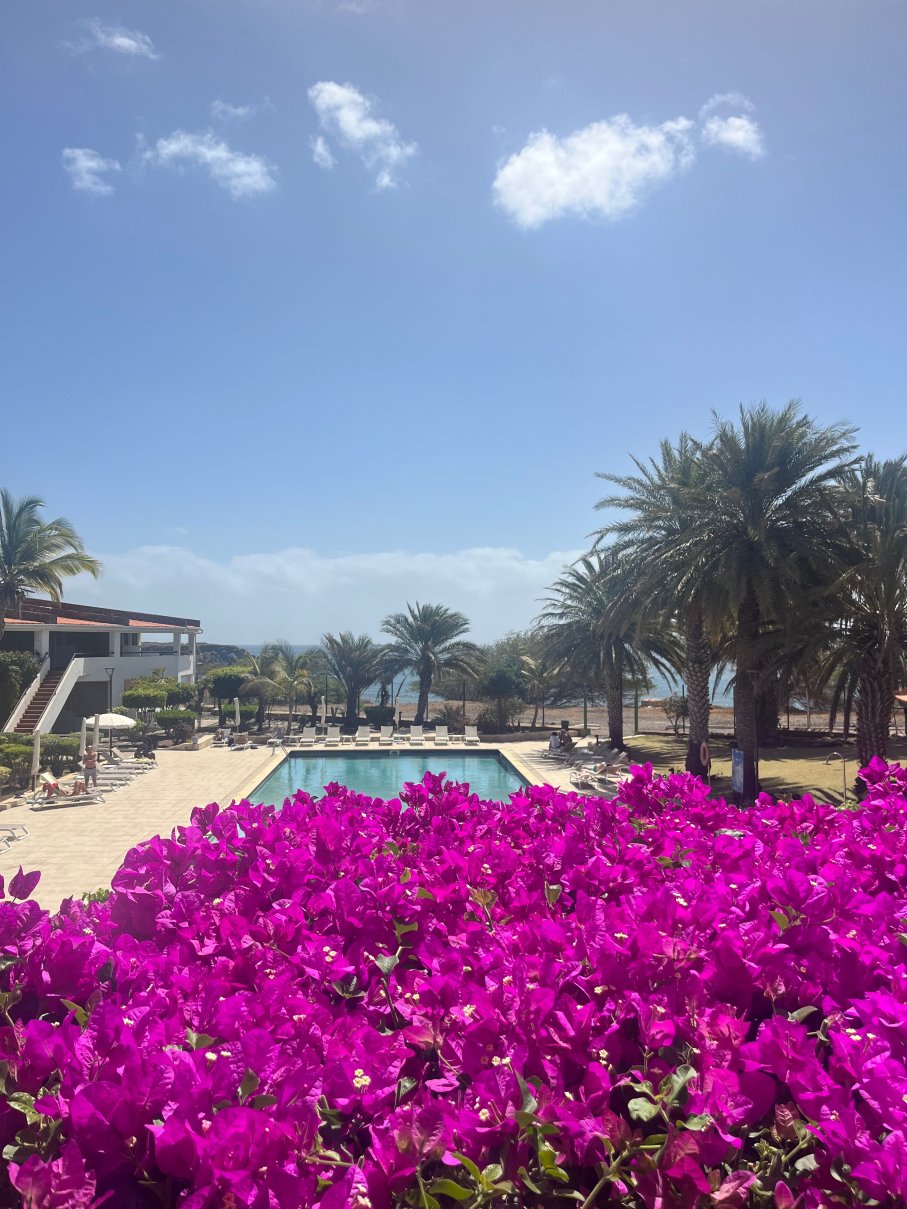 佩斯塔纳热带酒店 - 海洋城市酒店-官方