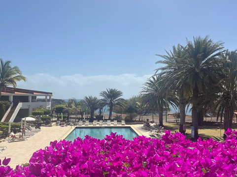 佩斯塔纳热带酒店 - 海洋城市酒店主图