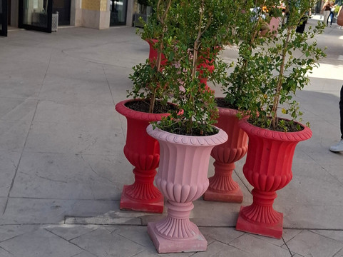 Designer Outlet Algarve-Almancil必去景点