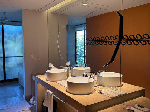 哥斯达黎加W酒店-莱瑟瓦康洽尔主图