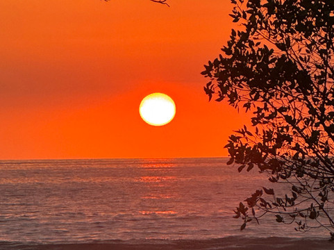 Oropopo Experience-Playa Avellanas必去景点