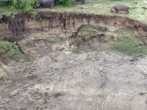 Skyship Co. Balloon Safaris-马赛马拉国家野生动物保护区必去景点