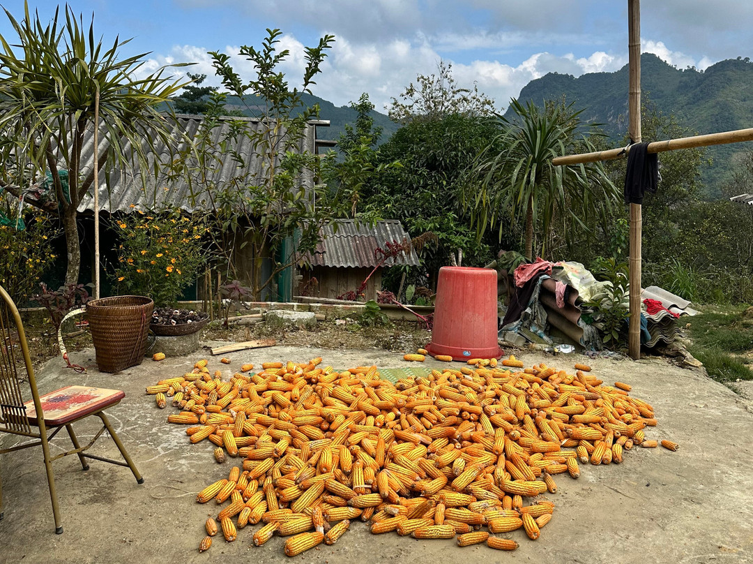 Dien Bien Phu-Dien Bien Phu必去景点