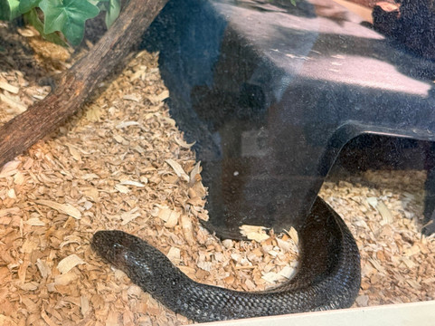 Oakland Nature Preserve-Oakland必去景点