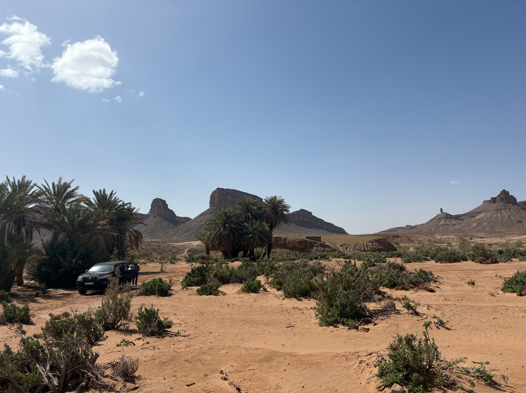 Private Morocco Driver-马拉喀什必去景点