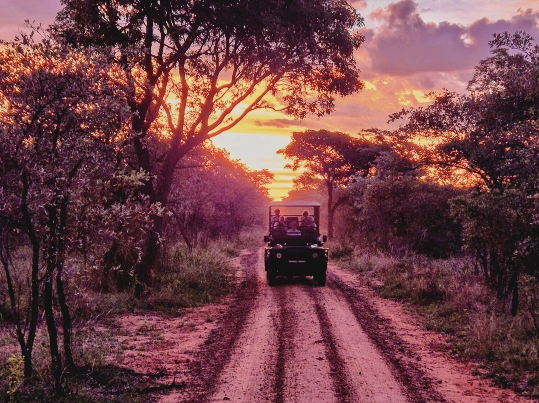 罗亚尔莫鲁比西创始人别墅主图