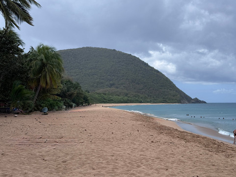 Pelican Safari Tour-Deshaies必去景点