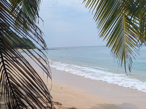 Turtle Fins Adventure-Swaraj Dweep必去景点