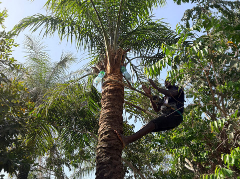 Soumare Tour-开普史基林必去景点