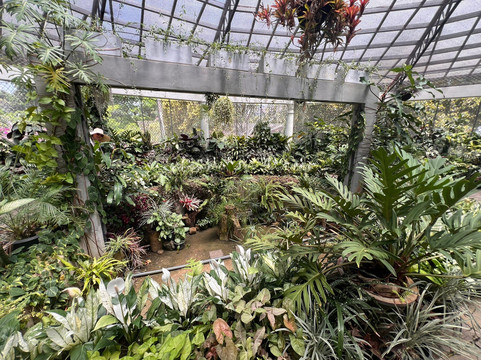 Royal Botanic Gardens Peradeniya