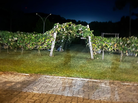 Lote20 Hotel Boutique主图