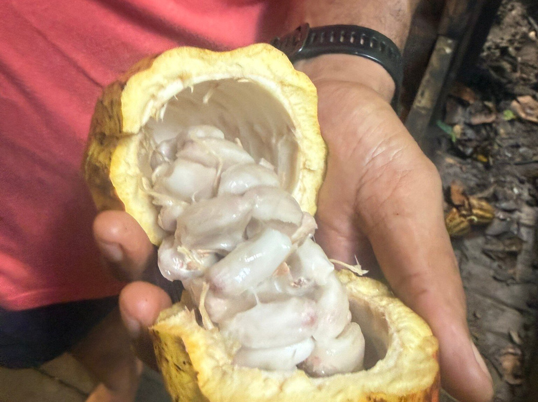 KokoMana-萨武萨武必去景点