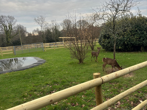 Holly Hedge Farm Self Catering Accomodation主图