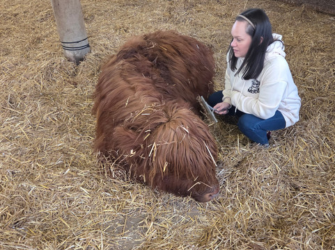 Dumble Farm-比弗利必去景点