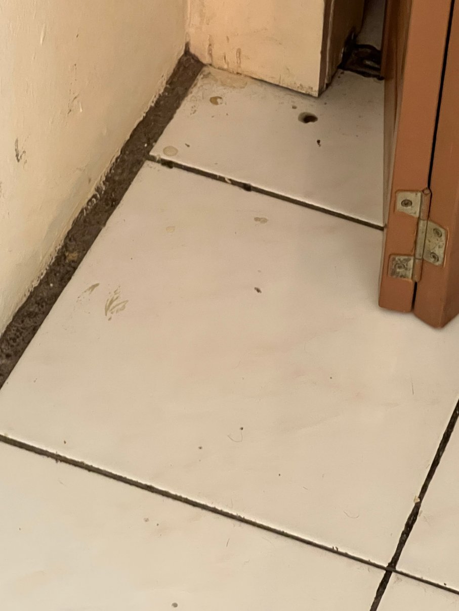 海景海滩酒店-客卧