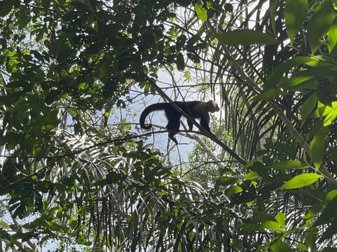 Panama Road Trips-巴拿马城必去景点