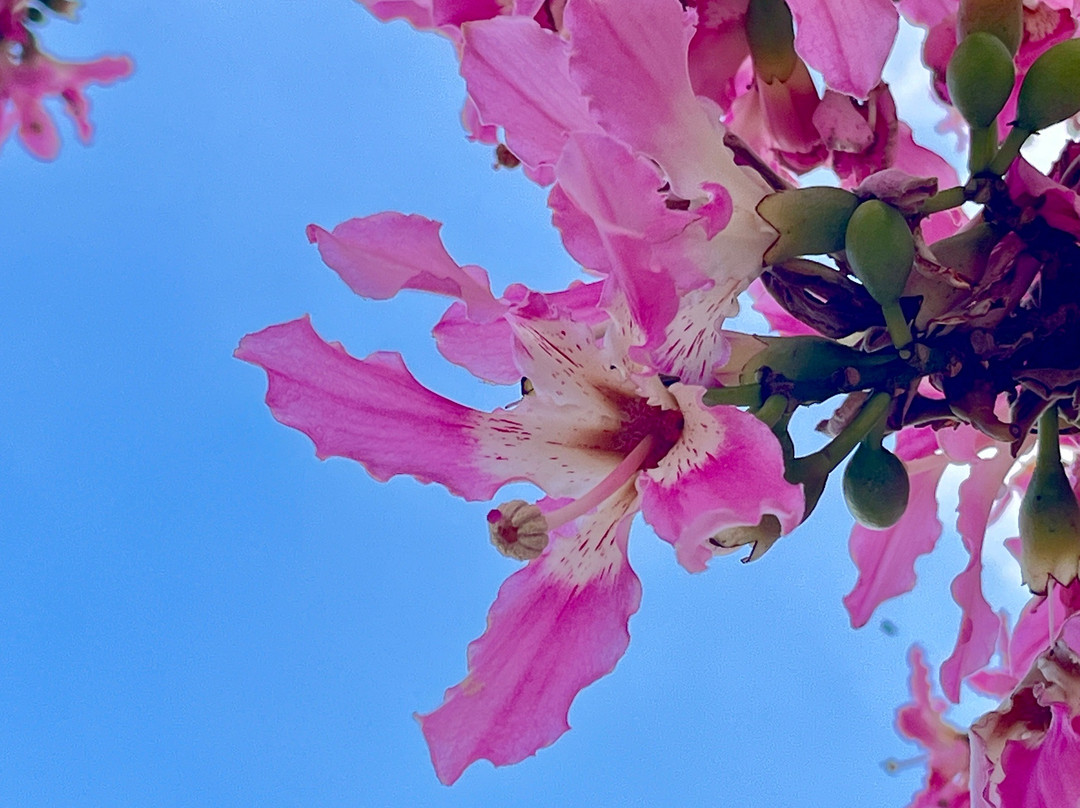 双龙桥-建水县必去景点