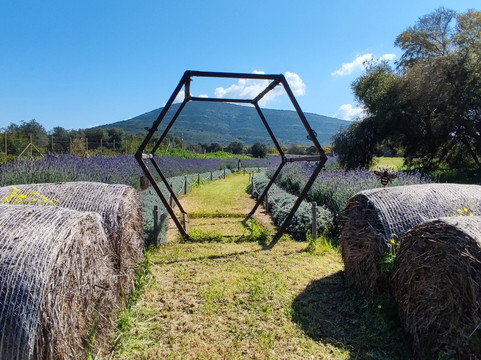 Bee Garden Alghero-阿尔盖罗必去景点